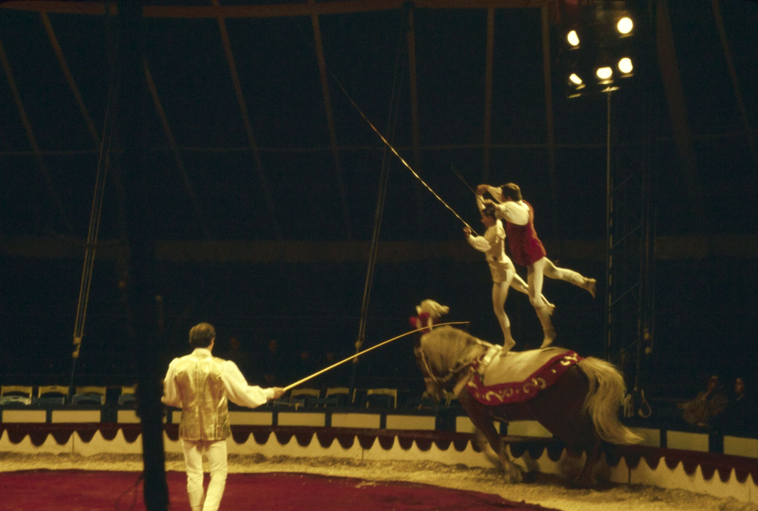 Cirque, numéro équestre : photographie couleur (1980, cote 1518WP/227)