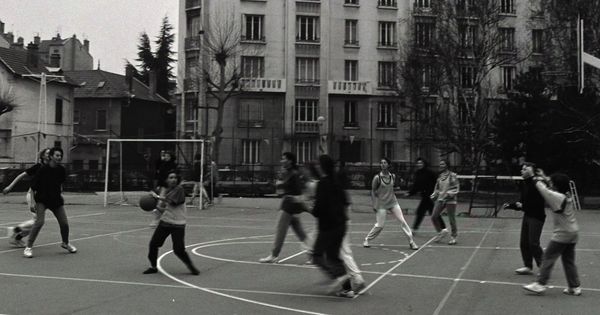 Basket vignette